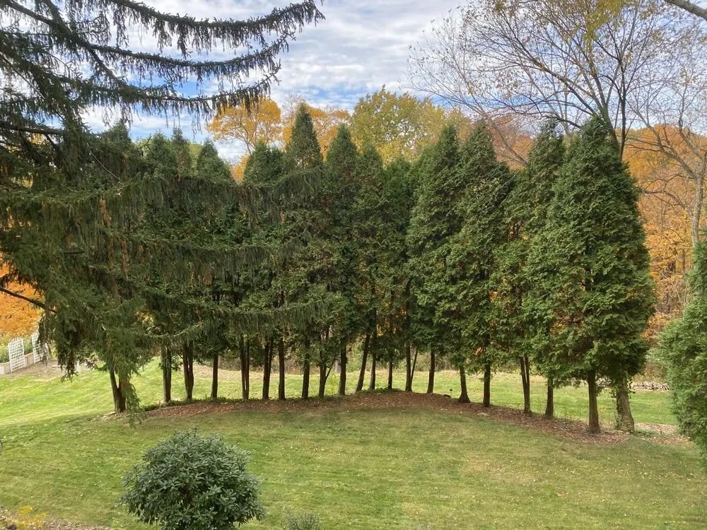 Custom landscape installation in Washington, PA - Grandmaster Lawn & Landscape