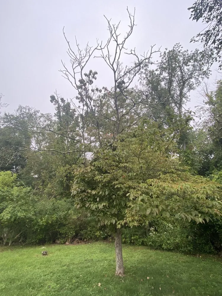 Trusted landscape design with custom design across Washington, PA - Grandmaster Lawn & Landscape