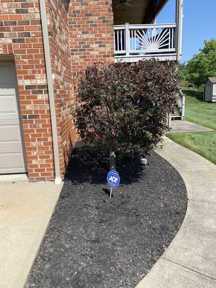 Professional yard cleanup service in Washington, PA by Grandmaster Lawn & Landscape