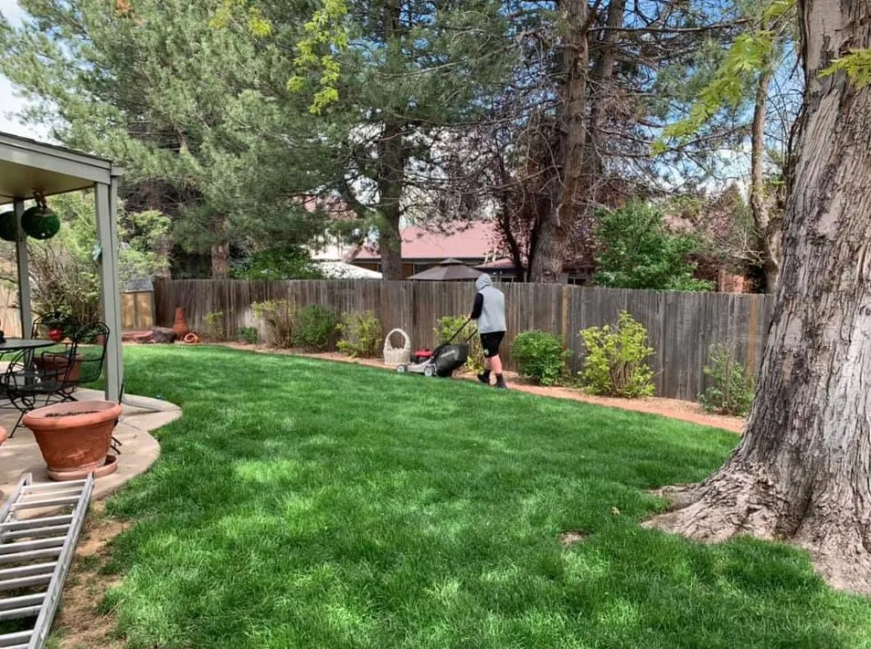 Top-rated landscape design for beautiful yards across Westminster, CO - Grandpa Dreiling's Lawn Service