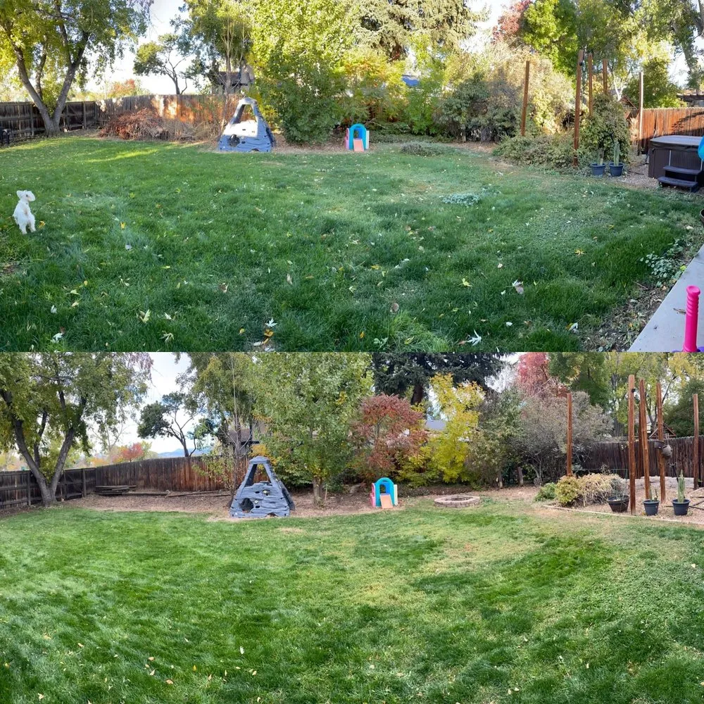 Local yard cleanup service experts serving Westminster, CO - Grandpa Dreiling's Lawn Service