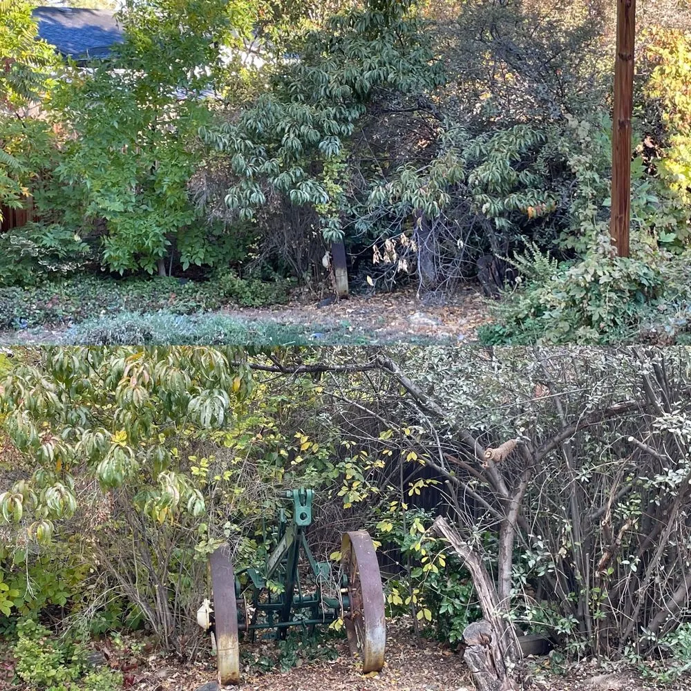 Expert yard cleanup service for beautiful yards across Westminster, CO - Grandpa Dreiling's Lawn Service