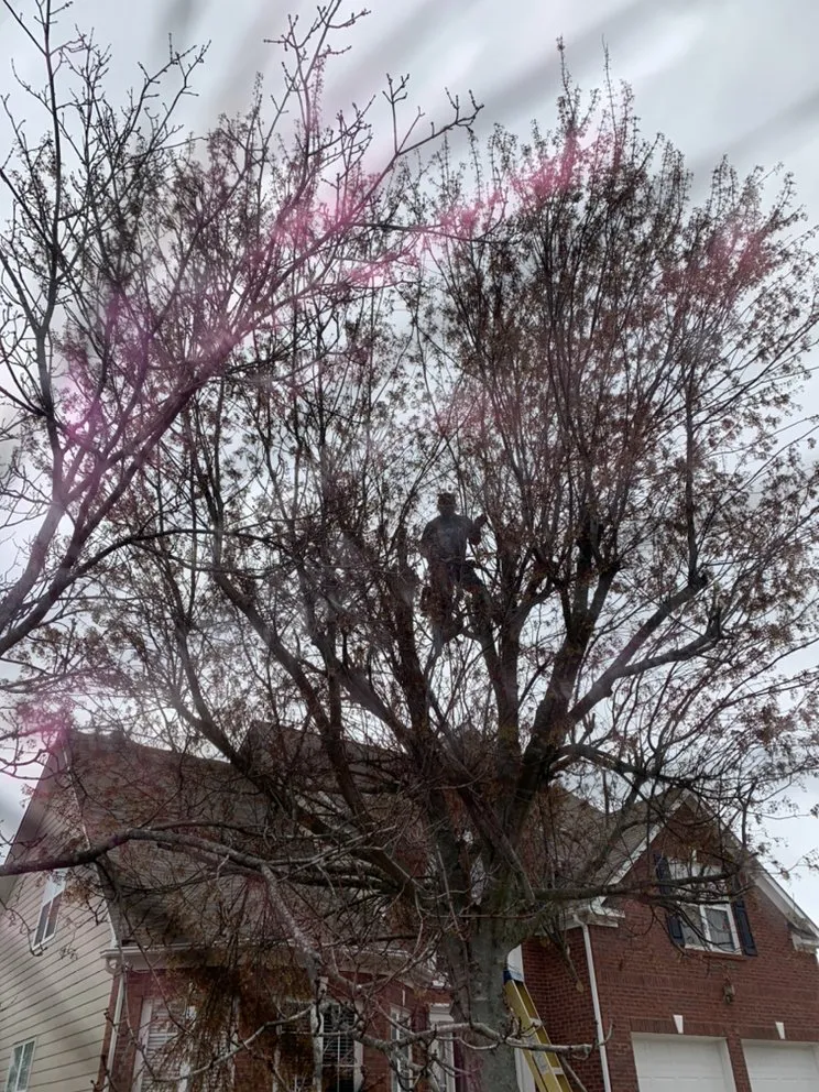 Trusted landscape installation in Lawrenceville, GA by Grandpa Handyman