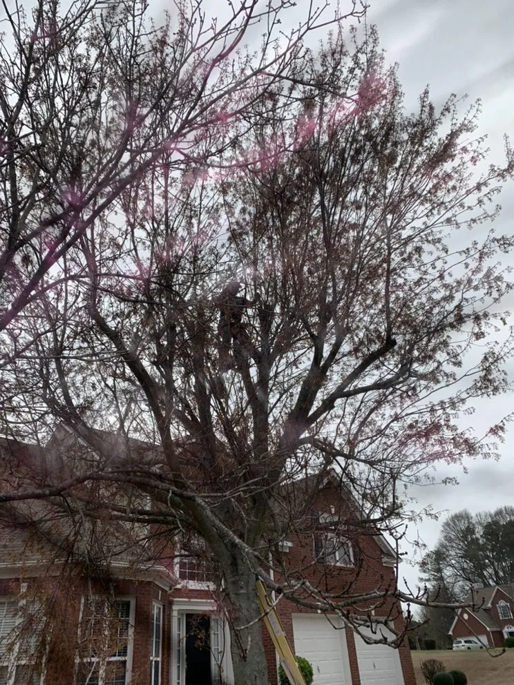 Trusted lawn mowing service for year-round maintenance across Lawrenceville, GA - Grandpa Handyman