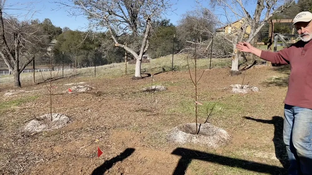 Trusted lawn care service in Shingle Springs, CA - Grandpas Backyard