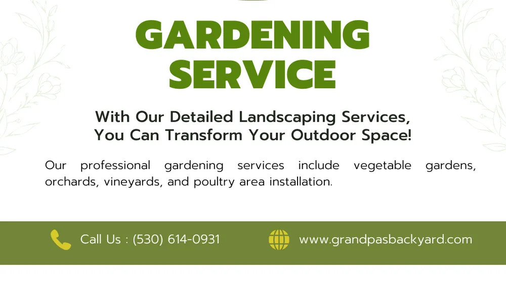 Top-rated outdoor landscaping experts serving Shingle Springs, CA - Grandpas Backyard
