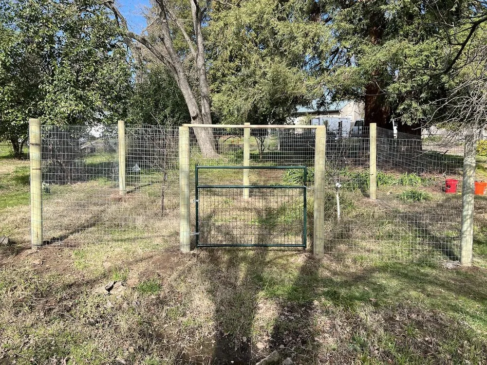 Local yard cleanup service near you across Shingle Springs, CA - Grandpas Backyard