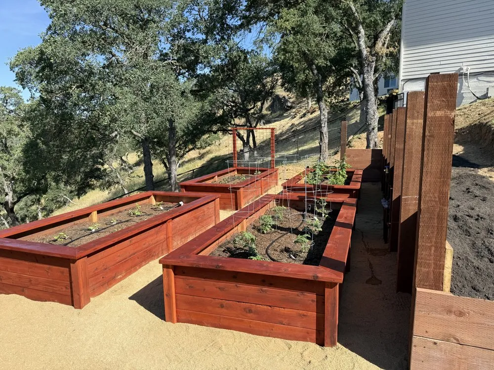 Professional landscaping services for beautiful yards across Shingle Springs, CA - Grandpas Backyard