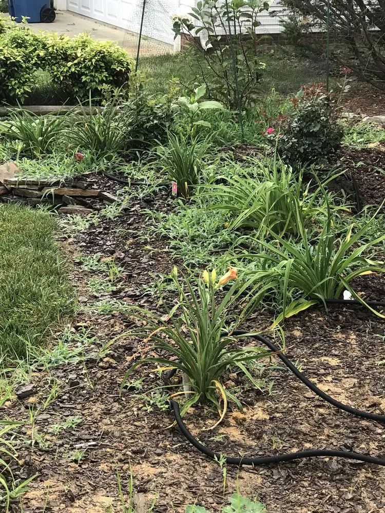 Top-rated garden landscaping for residential properties in Archdale, NC by Grandpaw's Full Tree Service and Landscaping