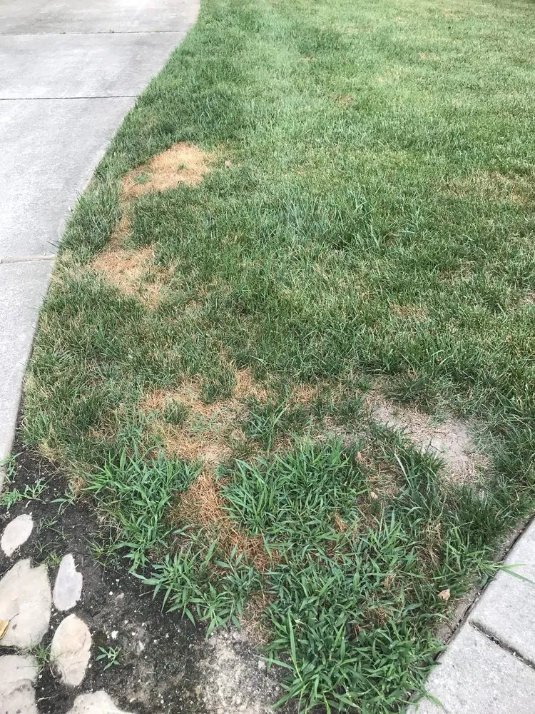 Local yard maintenance in Archdale, NC by Grandpaw's Full Tree Service and Landscaping