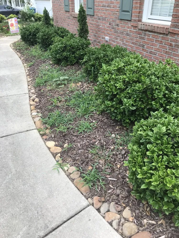 Custom lawn care service in Archdale, NC - Grandpaw's Full Tree Service and Landscaping