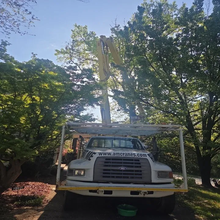 Custom lawn mowing service near you in Archdale, NC by Grandpaw's Full Tree Service and Landscaping