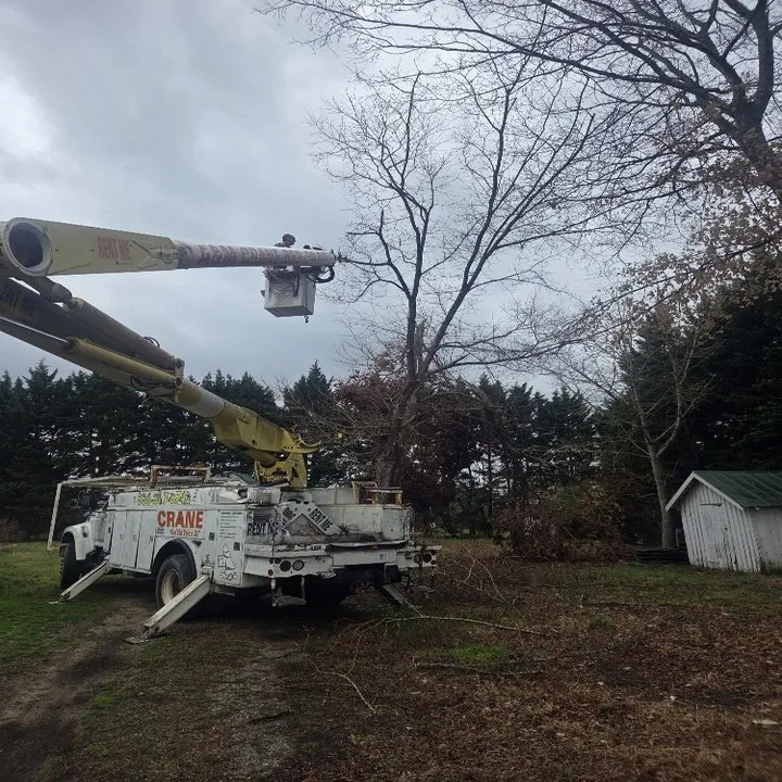 Expert residential landscaping in Archdale, NC - Grandpaw's Full Tree Service and Landscaping