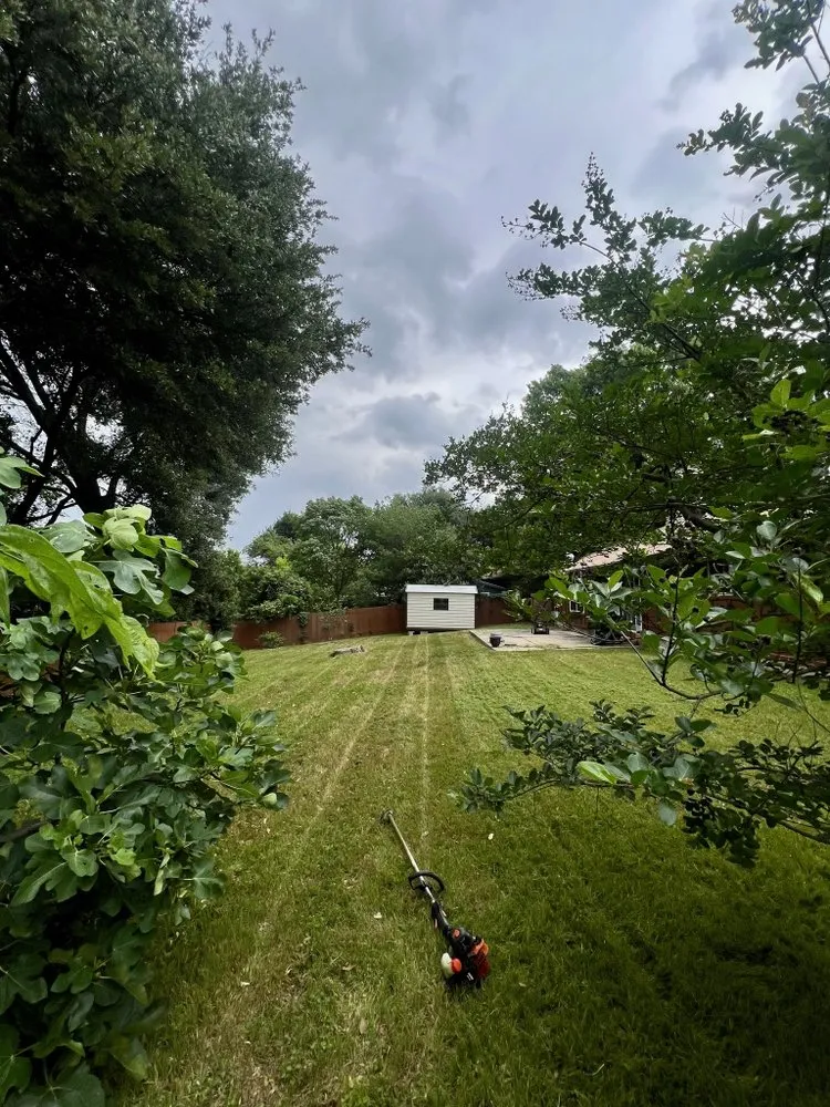 Expert yard maintenance in Austin, TX by Grandps Landscaping