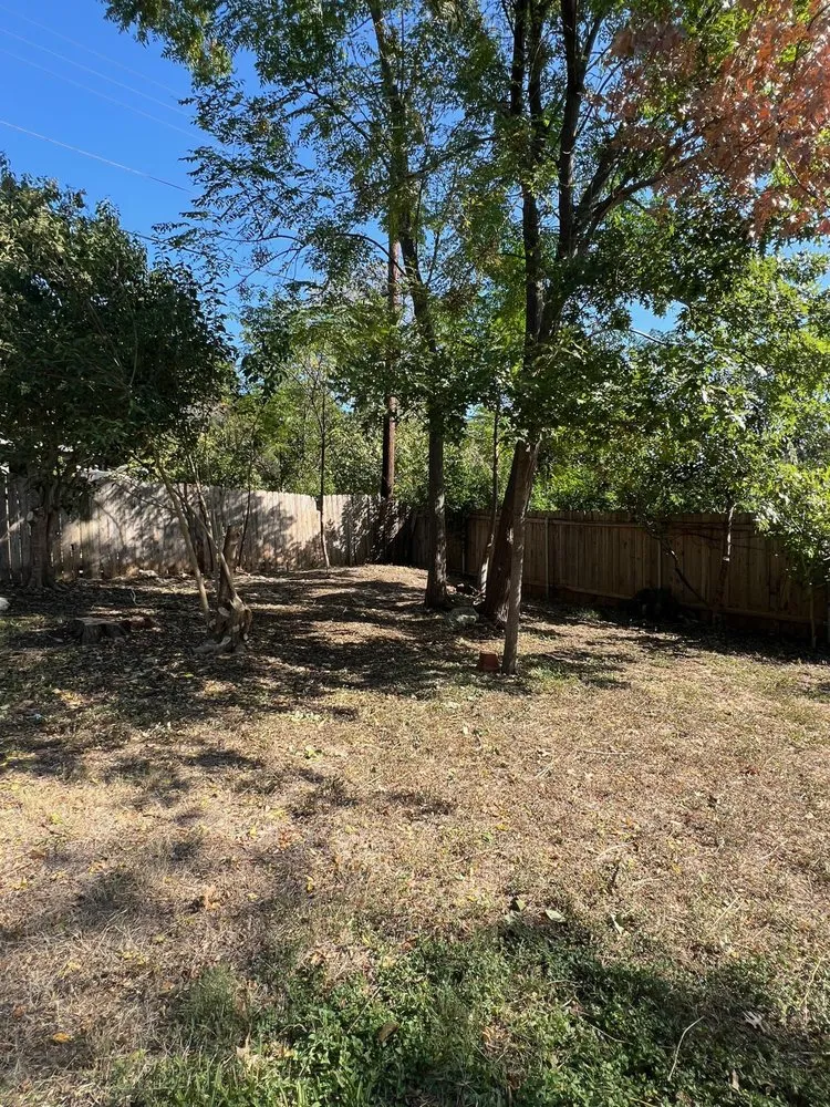 Custom yard cleanup service experts serving Austin, TX - Grandps Landscaping