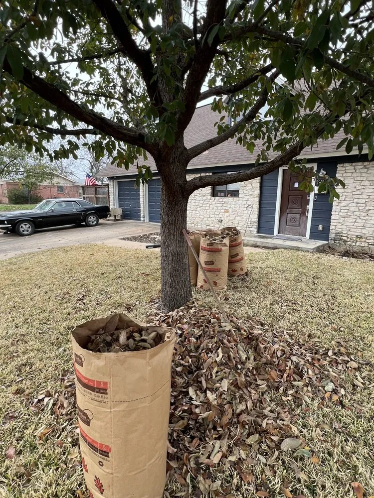 Trusted landscape installation experts serving Austin, TX - Grandps Landscaping