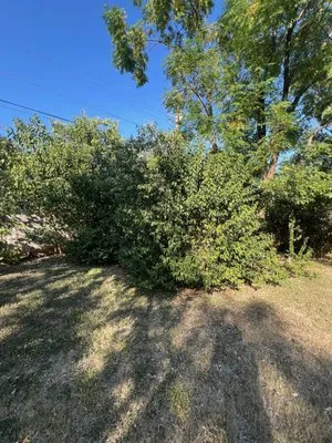 Grandps Landscaping Logo