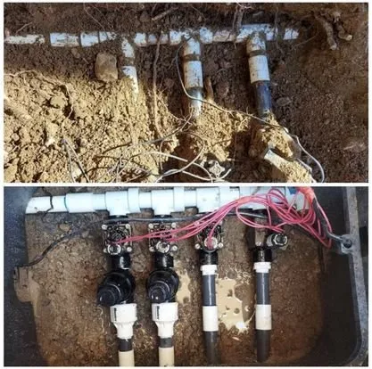 Top-rated lawn care service experts serving Albuquerque, NM - Grandscapes