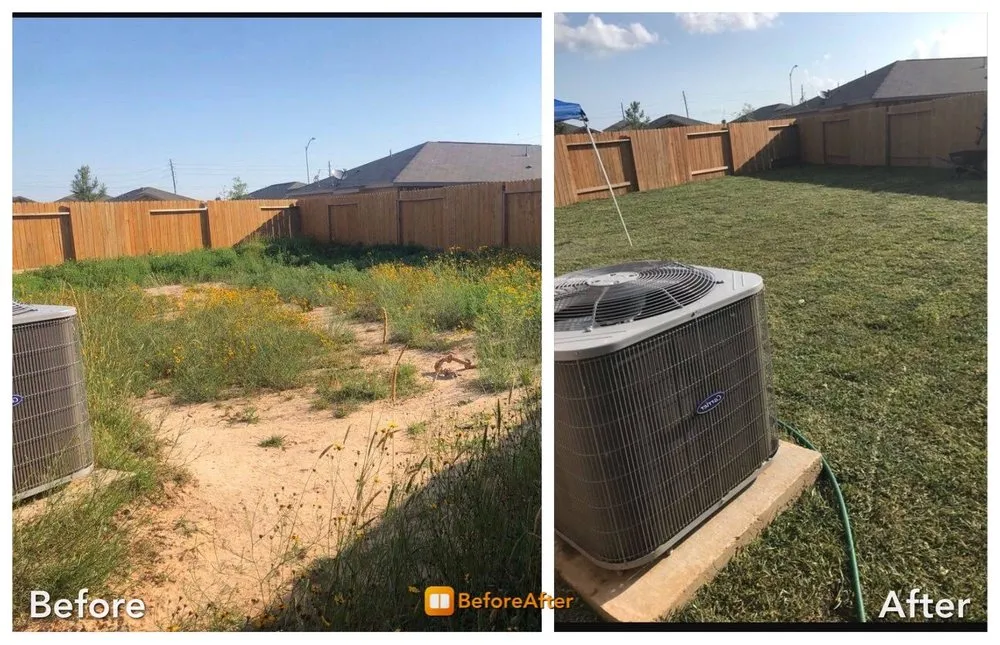 Affordable yard cleanup service for year-round maintenance across Albuquerque, NM - Grandscapes