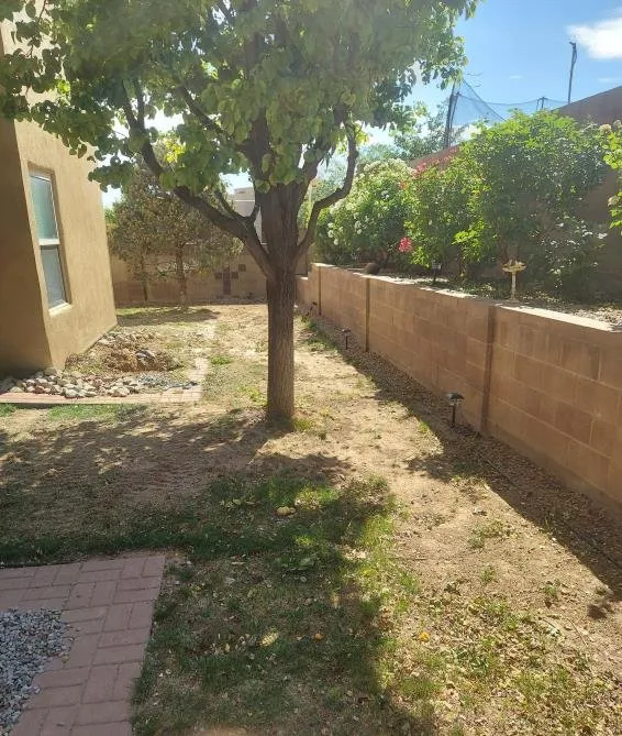 Custom yard cleanup service in Albuquerque, NM by Grandscapes