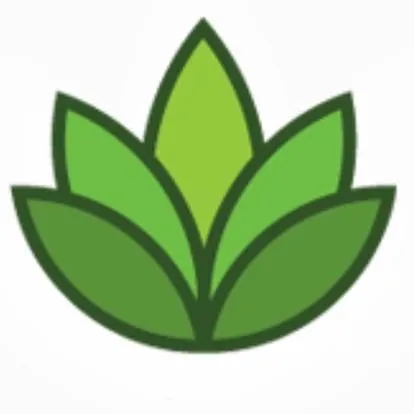 Local yard maintenance experts serving Albuquerque, NM - Grandscapes