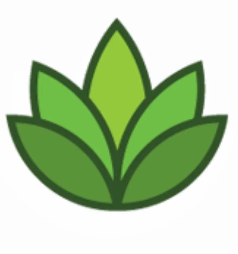 Expert lawn care service in Albuquerque, NM - Grandscapes