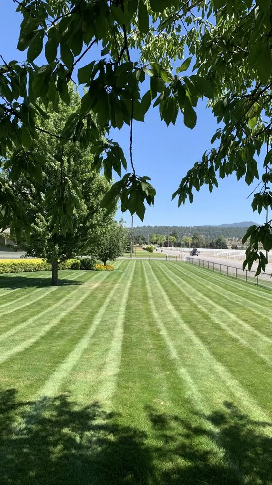 Reliable outdoor landscaping for beautiful yards in Otis Orchards, WA by GrandSheer landscape