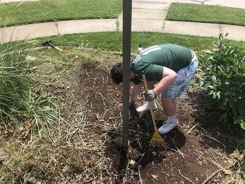 Top-rated lawn mowing service near you across Lyndhurst, OH - Grandsons 4 Hire