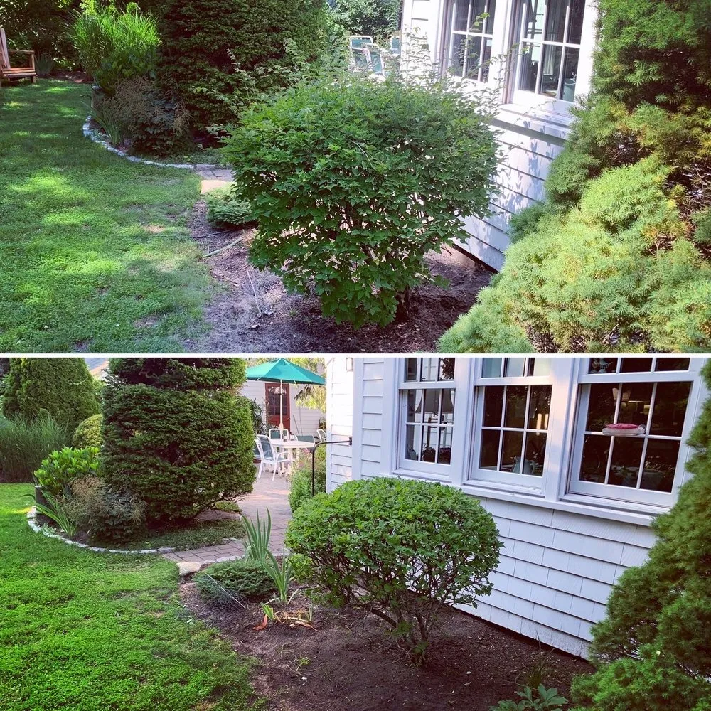 Trusted lawn care service in Hyannis, MA by Grandson’s Yard Work