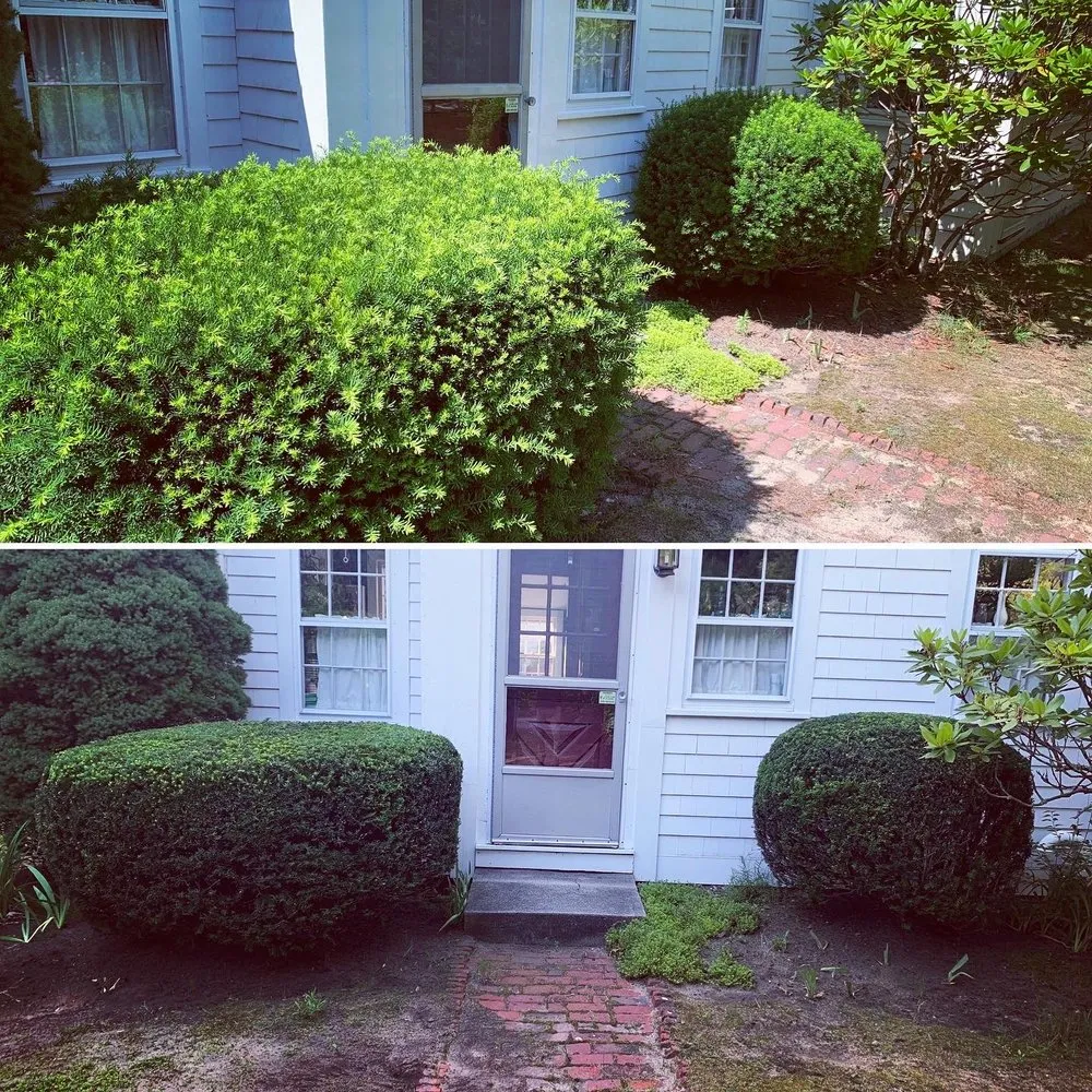 Top-rated lawn mowing service in Hyannis, MA by Grandson’s Yard Work