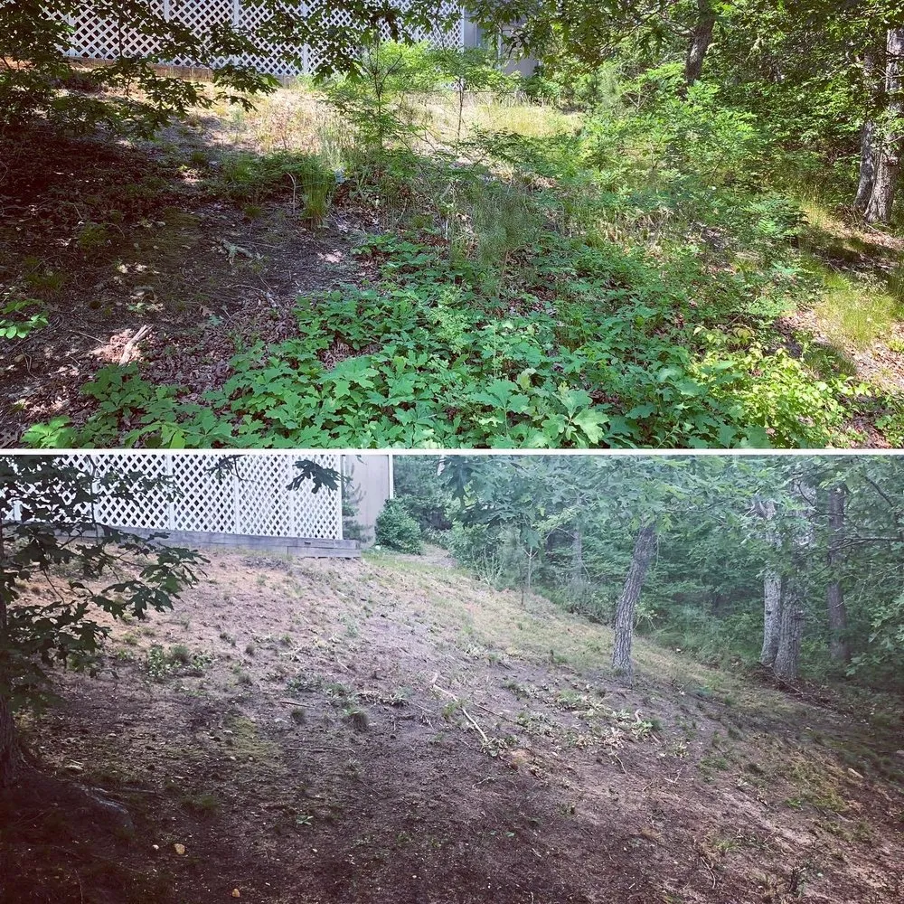 Expert landscaping services in Hyannis, MA by Grandson’s Yard Work