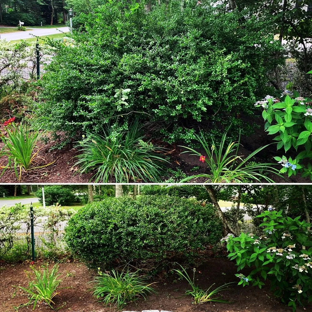Custom yard maintenance in Hyannis, MA by Grandson’s Yard Work
