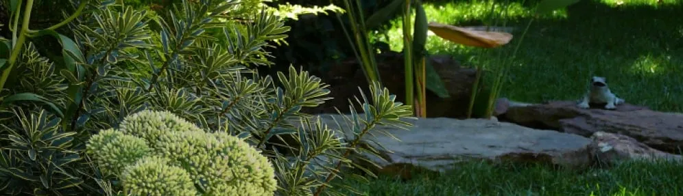 Top-rated landscape design in Lancaster, PA - Grandview Landscape