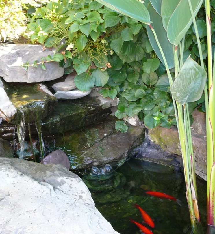 Trusted outdoor landscaping for year-round maintenance in Lancaster, PA by Grandview Landscape