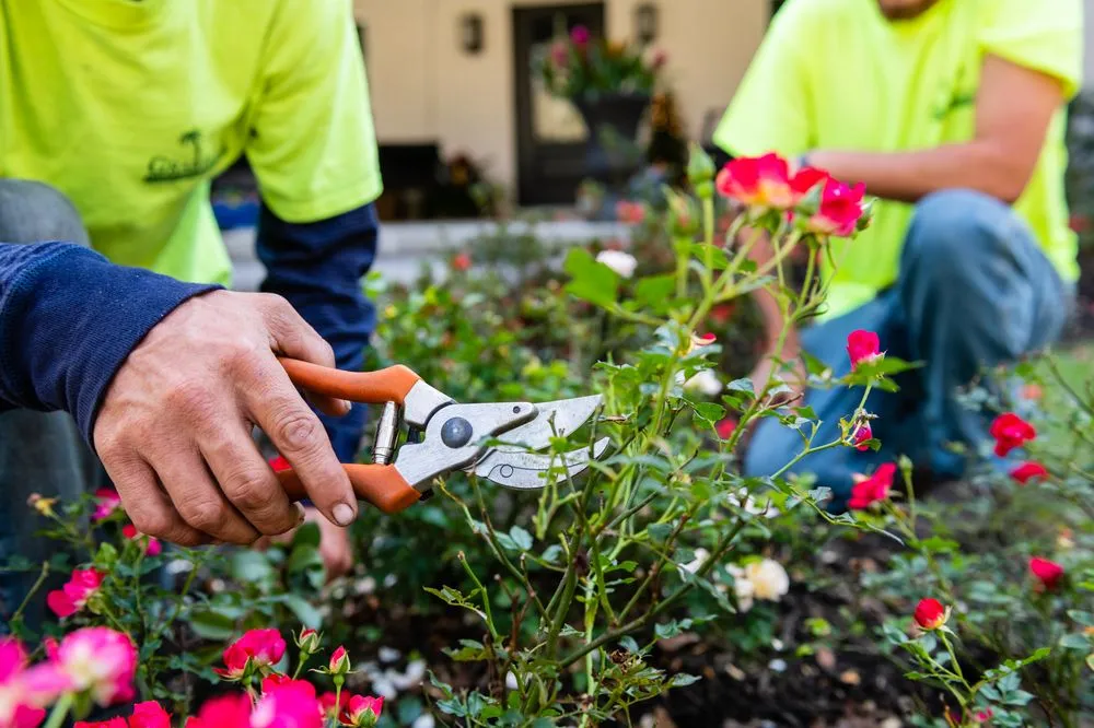 Trusted yard maintenance in Ocala, FL by Grandview Landscaping Services