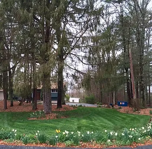 Expert yard maintenance with custom design across Stoughton, MA - GrandView Landscaping