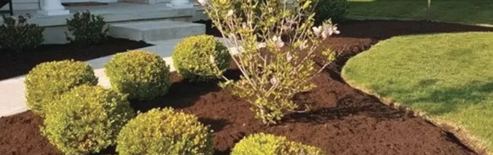 Local lawn mowing service near you across Stoughton, MA - GrandView Landscaping