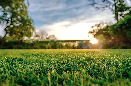 Grandview Landscaping