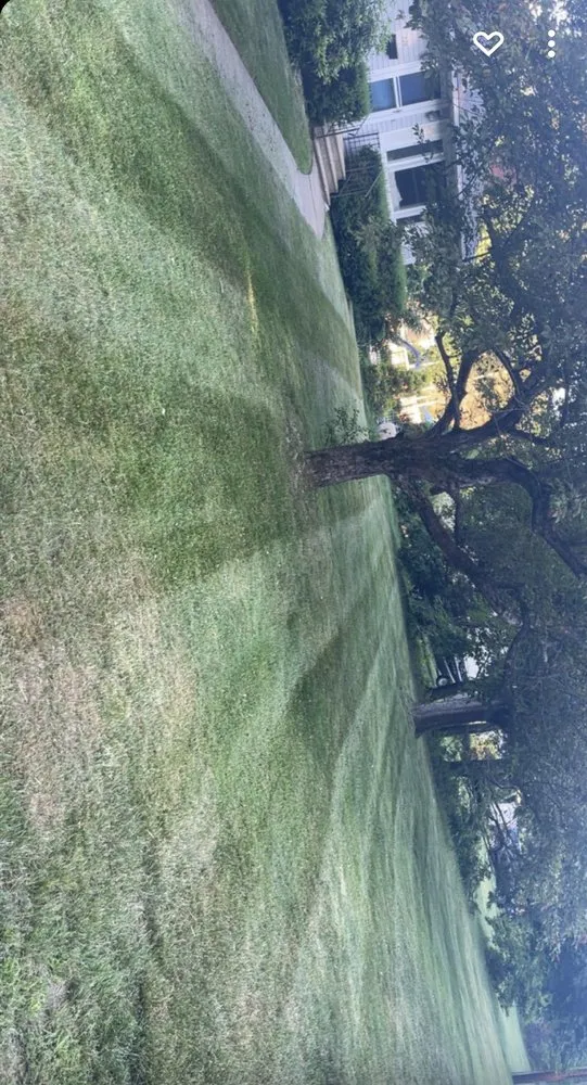 Local outdoor landscaping in Worcester, MA - Grandview Lawn Care