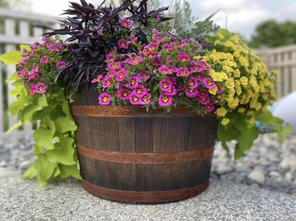 Local landscape installation in Plymouth, MA by Grandy Gardeners