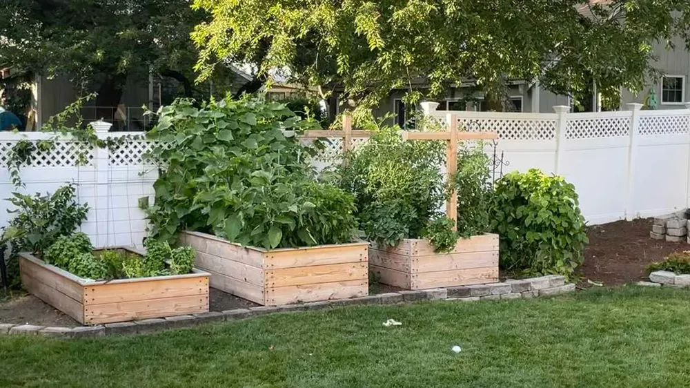 Custom yard cleanup service for year-round maintenance in Plymouth, MA by Grandy Gardeners