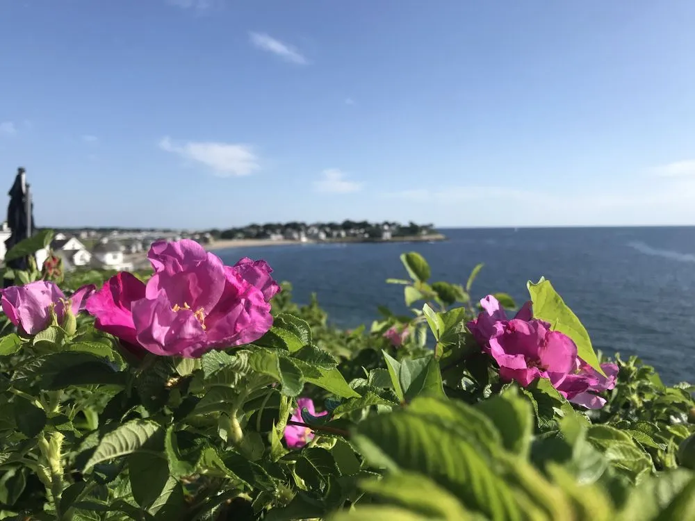 Trusted landscaping services with custom design in Plymouth, MA by Grandy Gardeners