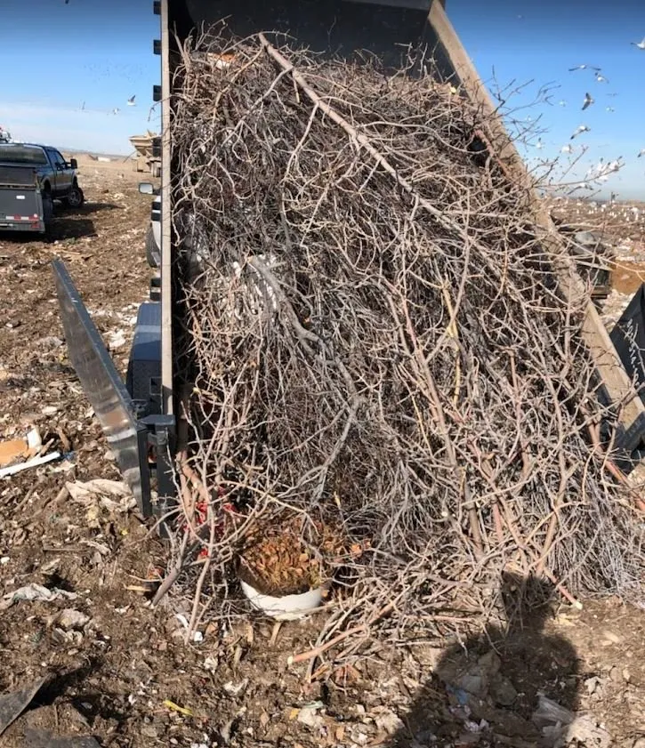 Expert landscape design in West Valley City, UT by Grange Hauling