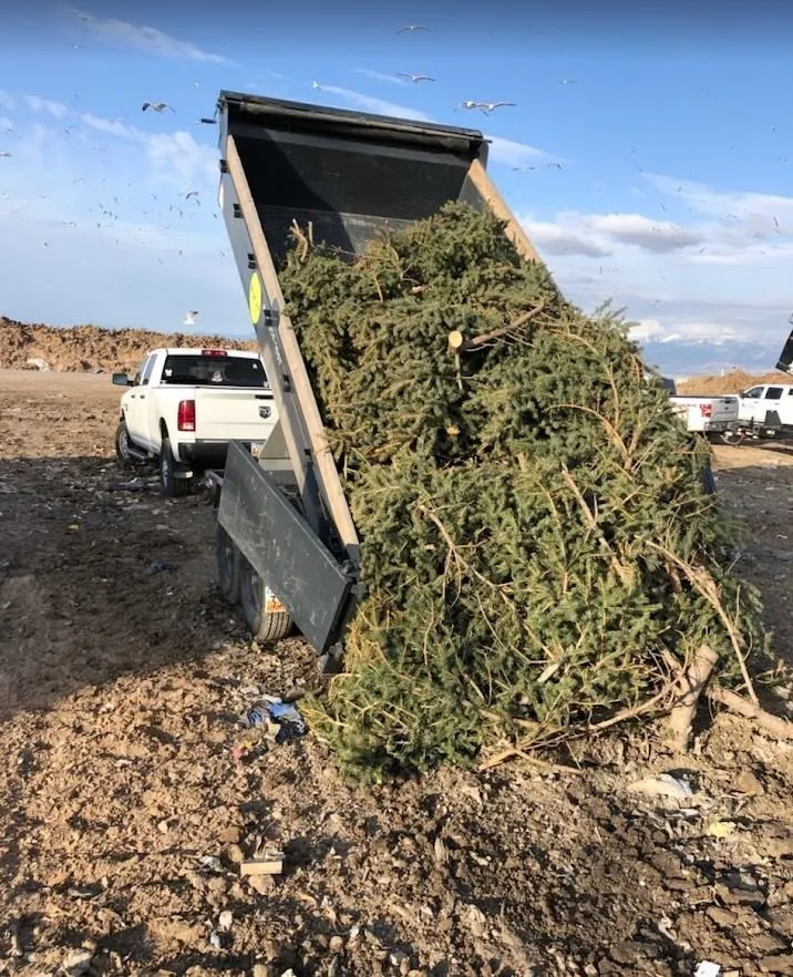 Trusted lawn mowing service for outdoor upgrades across West Valley City, UT - Grange Hauling