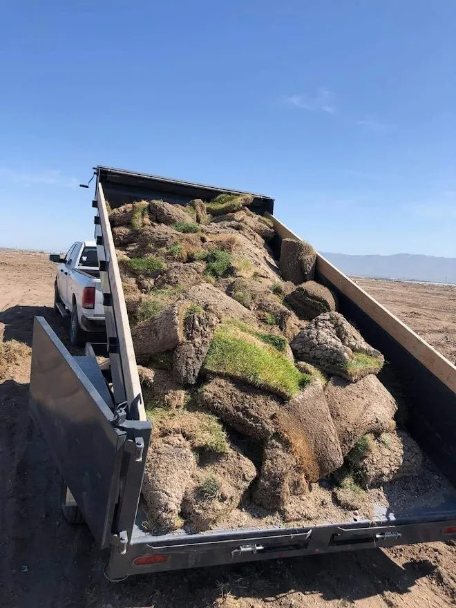 Top-rated yard maintenance experts serving West Valley City, UT - Grange Hauling