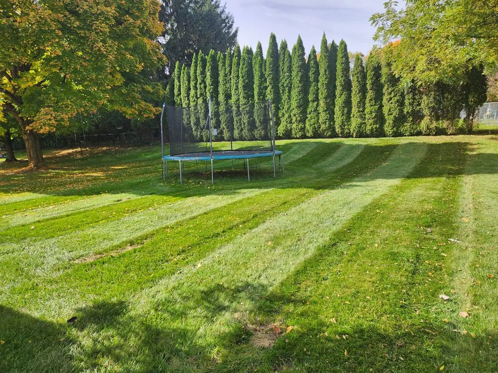 Affordable landscaping services for homes across Williamstown, NY - Granger landscape lawn and snow