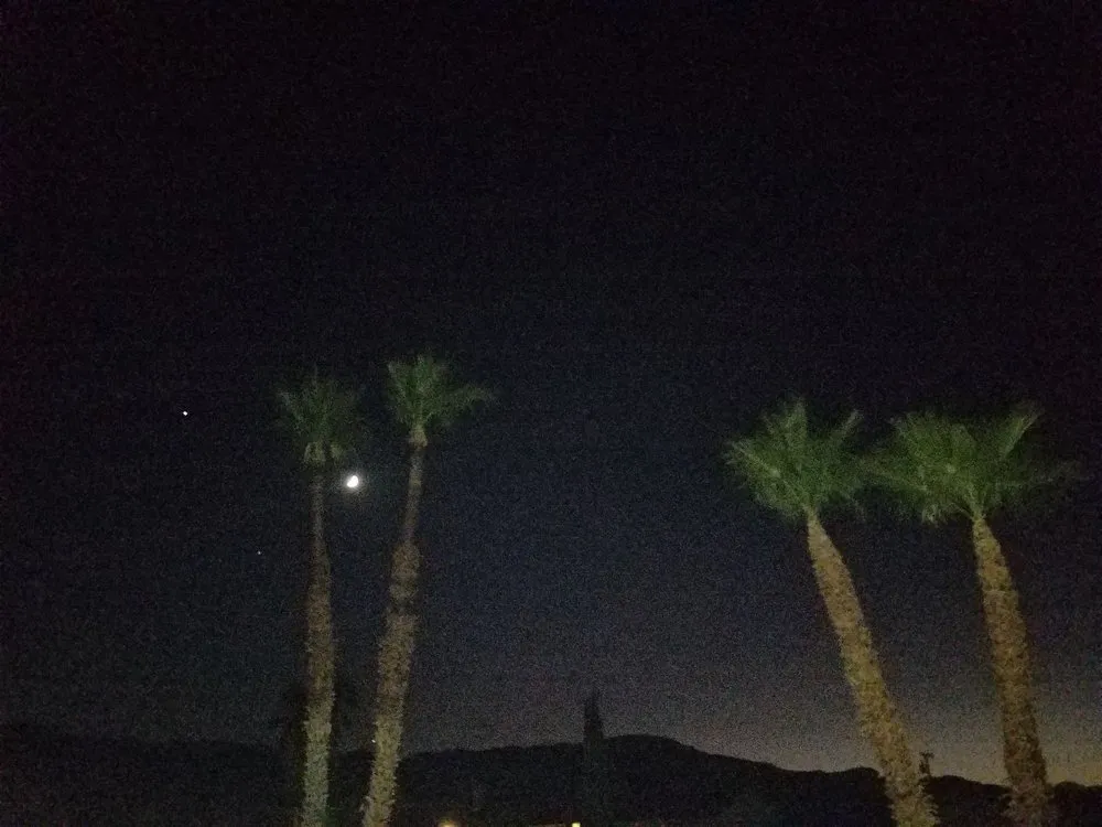 Expert yard cleanup service in Twentynine Palms, CA - Granger Landscape