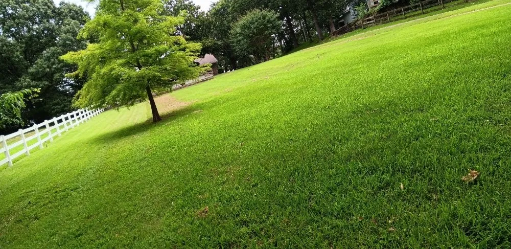 Trusted yard maintenance for year-round maintenance in Point, TX by Granier's Handyman Services