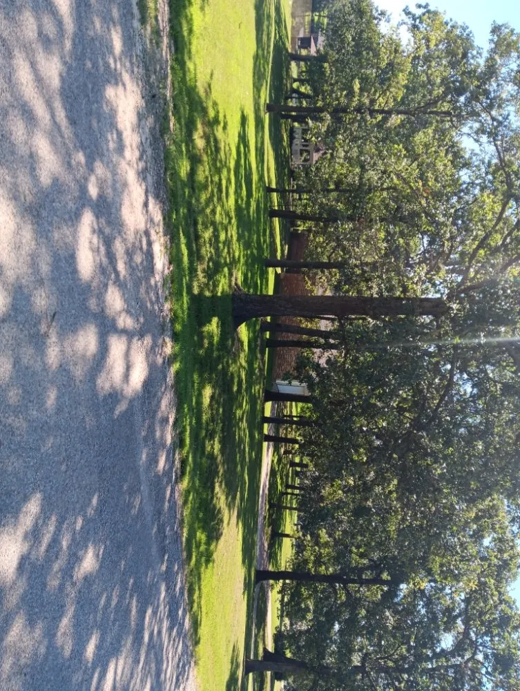 Top-rated lawn care service in Point, TX - Granier's Handyman Services