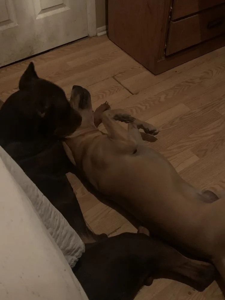 Top-rated landscape design in Canutillo, TX - Granillo Total Construction